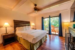 Toucans Retreat
