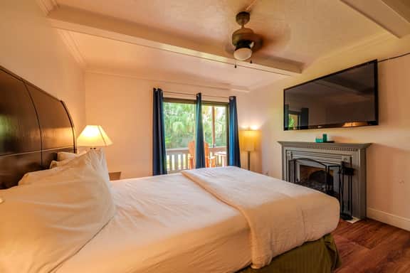 Toucans Retreat